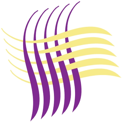 Kazzicom logo
